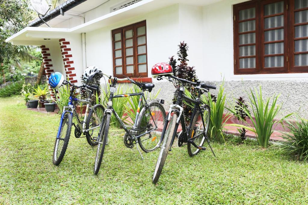 Guests can enjoy a guided cycling tour near Lion Shade Bungalow