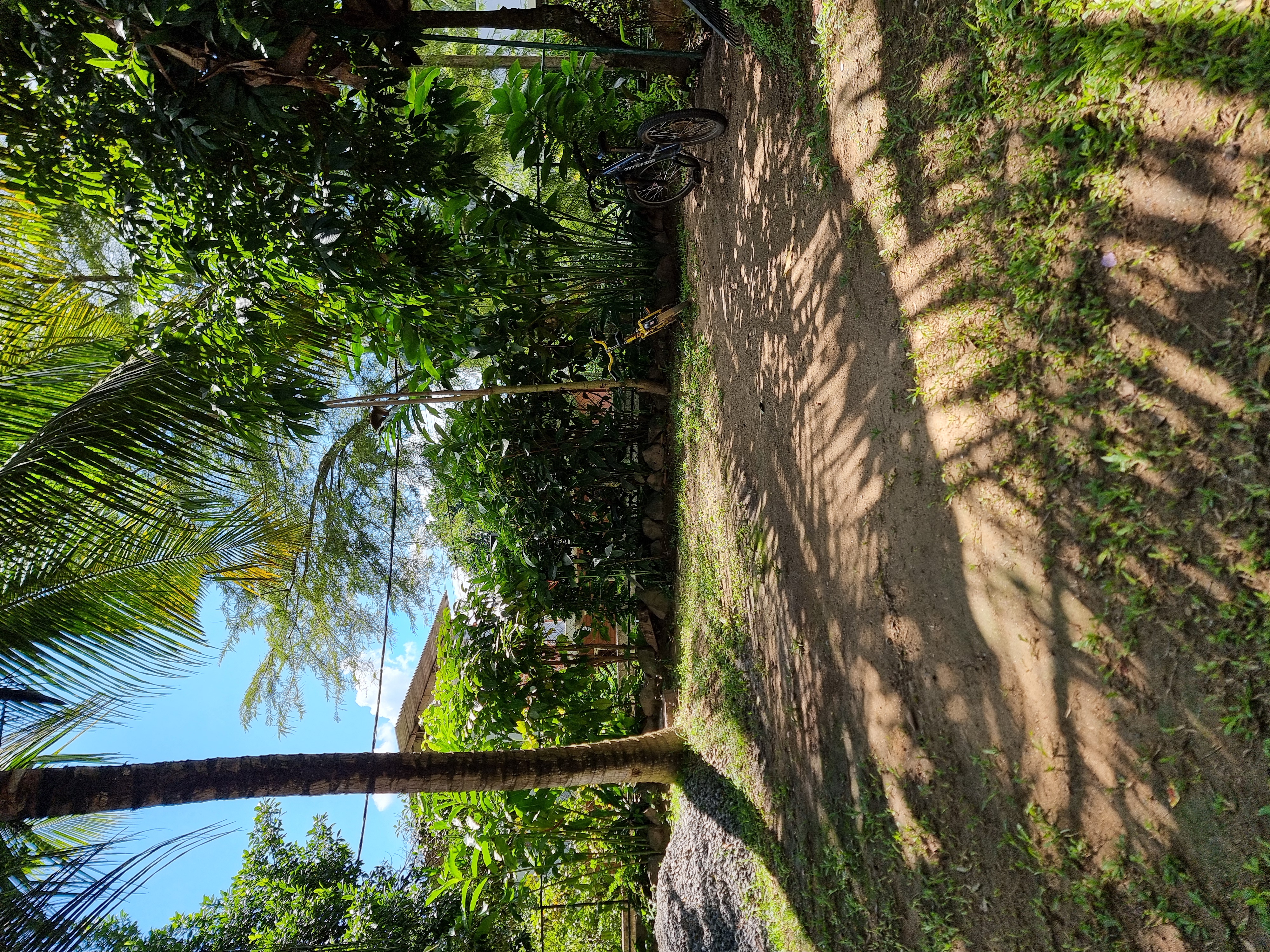 Garden path at Lion Shade Bungalow
