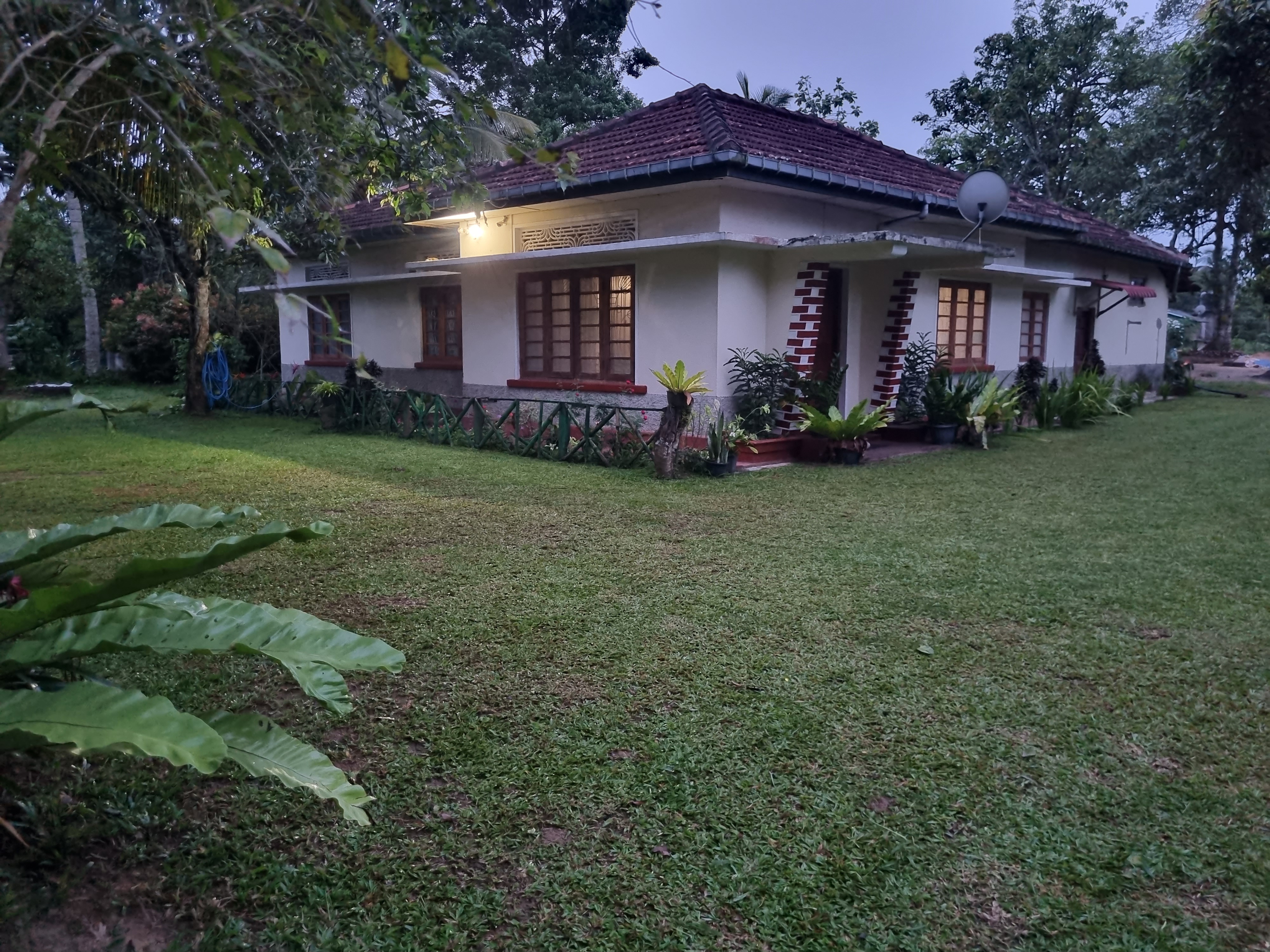Lush green garden at Lion Shade Tourist Bungalow